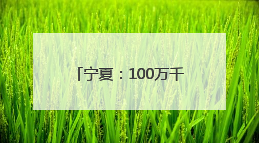 宁夏：100万千瓦光伏复合项目330千伏输变电工程线路全线贯通
